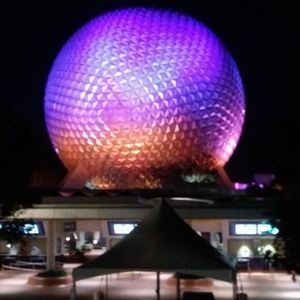 Meet your Posher, Scarlett